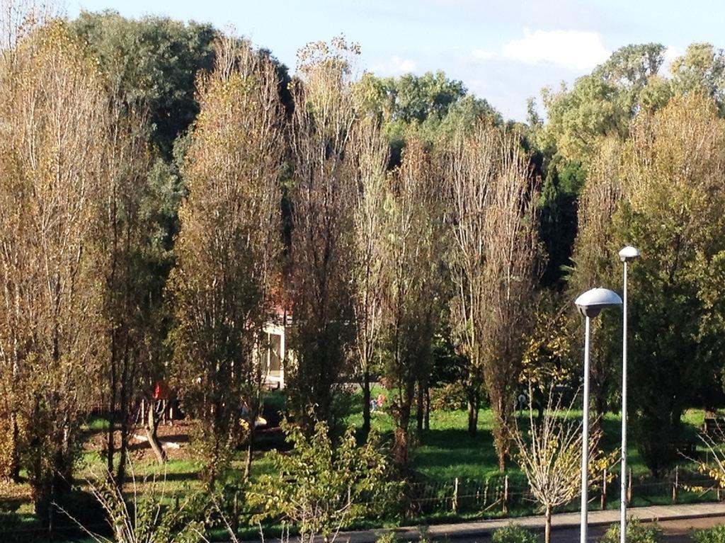 Regina Apartments ألغيرو الغرفة الصورة